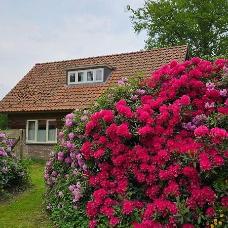 Holiday Home Countryside, Langbroek / Doorn Zewnętrze zdjęcie