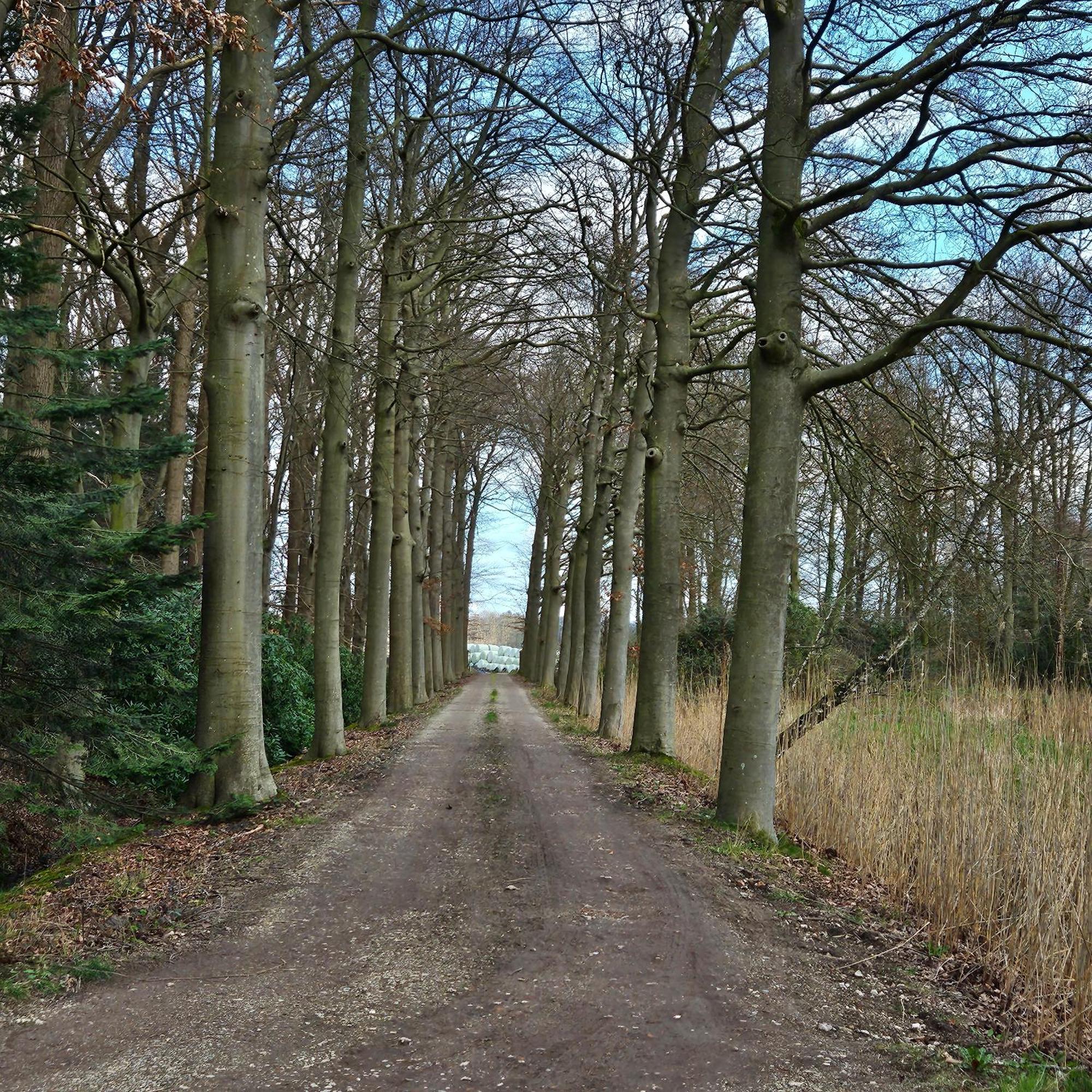 Holiday Home Countryside, Langbroek / Doorn Zewnętrze zdjęcie