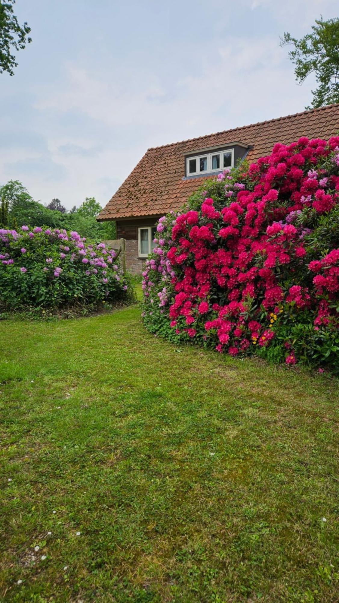 Holiday Home Countryside, Langbroek / Doorn Zewnętrze zdjęcie